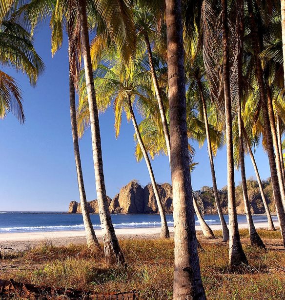 &#x391;&#x3BD;&#x3B1;&#x3BA;&#x3B1;&#x3BB;&#x3CD;&#x3C8;&#x3B1;&#x3BC;&#x3B5; &#x3C4;&#x3B9;&#x3C2; &#x3C0;&#x3B9;&#x3BF; &#x3CC;&#x3BC;&#x3BF;&#x3C1;&#x3C6;&#x3B5;&#x3C2; &#x3BC;&#x3C5;&#x3C3;&#x3C4;&#x3B9;&#x3BA;&#x3AD;&#x3C2; &#x3C0;&#x3B1;&#x3C1;&#x3B1;&#x3BB;&#x3AF;&#x3B5;&#x3C2; &#x3C4;&#x3BF;&#x3C5; &#x3C0;&#x3BB;&#x3B1;&#x3BD;&#x3AE;&#x3C4;&#x3B7;