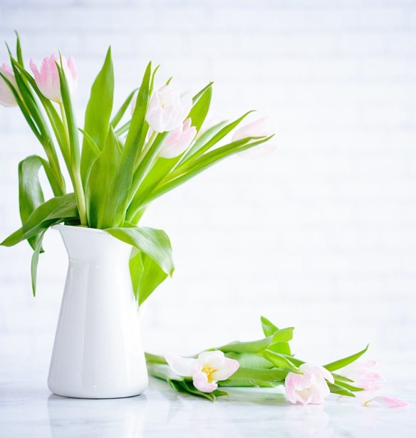 &#x39F;&#x3B9; &#x3BA;&#x3B1;&#x3BD;&#x3CC;&#x3BD;&#x3B5;&#x3C2; &#x3C4;&#x3BF;&#x3C5; &#x3B1;&#x3BD;&#x3BF;&#x3B9;&#x3BE;&#x3B9;&#x3AC;&#x3C4;&#x3B9;&#x3BA;&#x3BF;&#x3C5; decluttering &#x3C3;&#x3C4;&#x3BF; &#x3C3;&#x3C0;&#x3AF;&#x3C4;&#x3B9;