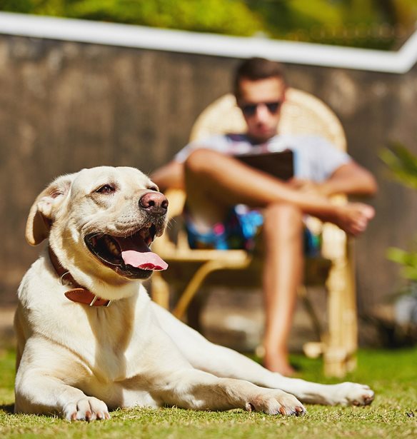 &#x3A4;&#x3B1; &#x3C3;&#x3BA;&#x3C5;&#x3BB;&#x3B9;&#x3AC; &#x3BC;&#x3B1;&#x3C2; &#x3BA;&#x3AC;&#x3BD;&#x3BF;&#x3C5;&#x3BD; &#x3C0;&#x3B9;&#x3BF; &#x3B5;&#x3C5;&#x3C4;&#x3C5;&#x3C7;&#x3B9;&#x3C3;&#x3BC;&#x3AD;&#x3BD;&#x3BF;&#x3C5;&#x3C2;, &#x3C0;&#x3B9;&#x3BF; &#x3C5;&#x3B3;&#x3B9;&#x3B5;&#x3AF;&#x3C2; &#x3BA;&#x3B1;&#x3B9; &#x3C0;&#x3B5;&#x3C1;&#x3B9;&#x3C3;&#x3C3;&#x3CC;&#x3C4;&#x3B5;&#x3C1;&#x3BF; fit