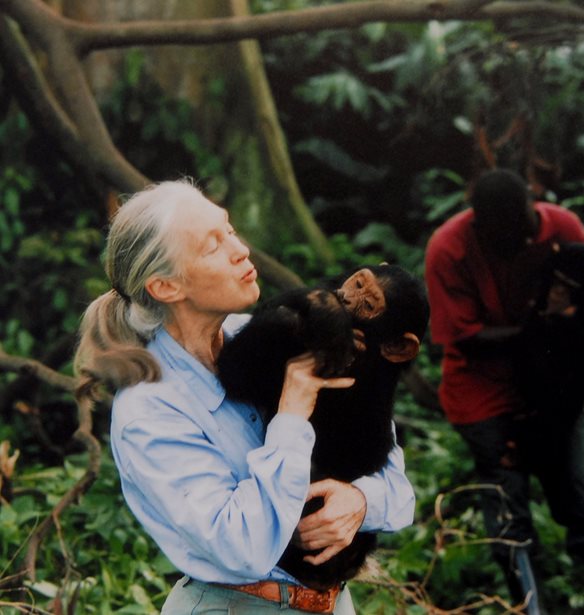 &#x397; Jane Goodall &#x3B8;&#x3B1; &#x3BC;&#x3B5;&#x3AF;&#x3BD;&#x3B5;&#x3B9; &#x3C3;&#x3C4;&#x3B7;&#x3BD; &#x3B9;&#x3C3;&#x3C4;&#x3BF;&#x3C1;&#x3AF;&#x3B1; &#x3C9;&#x3C2; &quot;&#x3B1;&#x3BB;&#x3B7;&#x3B8;&#x3B9;&#x3BD;&#x3AE; &#x3B7;&#x3C1;&#x3C9;&#x3AF;&#x3B4;&#x3B1; &#x3C4;&#x3BF;&#x3C5; &#x3C0;&#x3BB;&#x3B1;&#x3BD;&#x3AE;&#x3C4;&#x3B7;&quot;