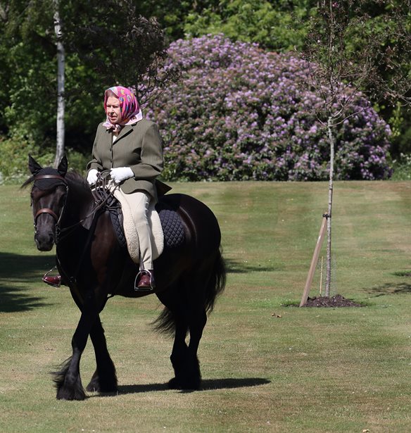 &#x39C;&#x3B5;&#x3C1;&#x3B9;&#x3BA;&#x3AD;&#x3C2; bizarre &#x3BB;&#x3B5;&#x3C0;&#x3C4;&#x3BF;&#x3BC;&#x3AD;&#x3C1;&#x3B5;&#x3B9;&#x3B5;&#x3C2; &#x3B1;&#x3C0;&#x3CC; &#x3C4;&#x3B7; &#x3B6;&#x3C9;&#x3AE; &#x3C4;&#x3B7;&#x3C2; &#x3B2;&#x3B1;&#x3C3;&#x3AF;&#x3BB;&#x3B9;&#x3C3;&#x3C3;&#x3B1;&#x3C2; &#x395;&#x3BB;&#x3B9;&#x3C3;&#x3AC;&#x3B2;&#x3B5;&#x3C4;