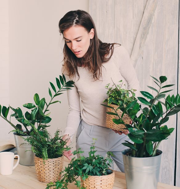 Γιατί η κηπουρική είναι ιδανική απασχόληση για όλους