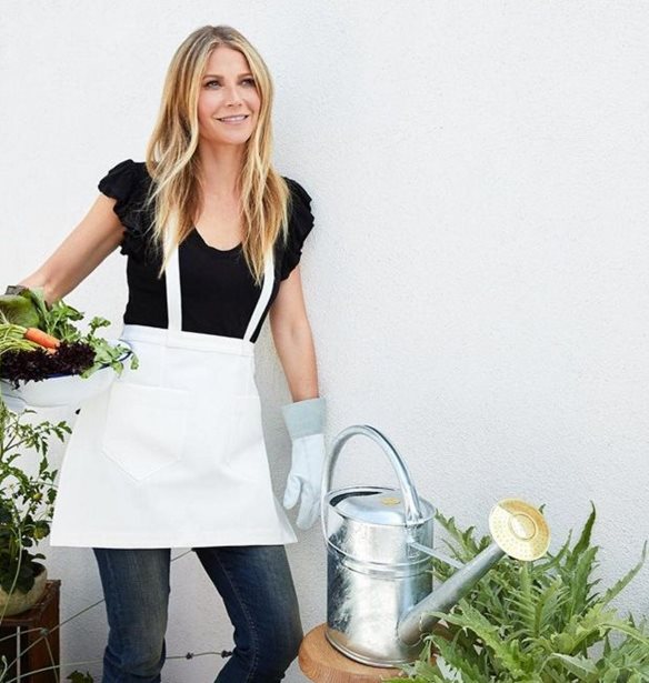 &#x397; Gwyneth Paltrow &#x3B8;&#x3B1; &#x3BA;&#x3C5;&#x3BA;&#x3BB;&#x3BF;&#x3C6;&#x3BF;&#x3C1;&#x3AE;&#x3C3;&#x3B5;&#x3B9; &#x3C4;&#x3BF; Goop &#x3C3;&#x3B5; &#x3BC;&#x3BF;&#x3C1;&#x3C6;&#x3AE; &#x3C0;&#x3B5;&#x3C1;&#x3B9;&#x3BF;&#x3B4;&#x3B9;&#x3BA;&#x3BF;&#x3CD;