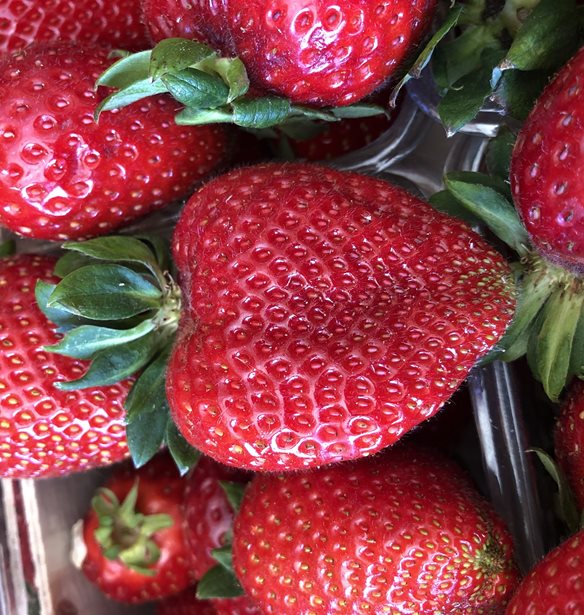 #KARDIOWAY | Το Radisson Blu Park Hotel Athens γεμίζει καρδιές!