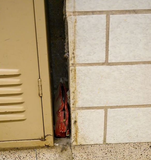 &#x39C;&#x3AF;&#x3B1; &#x3C7;&#x3B1;&#x3BC;&#x3AD;&#x3BD;&#x3B7; &#x3B3;&#x3C5;&#x3BD;&#x3B1;&#x3B9;&#x3BA;&#x3B5;&#x3AF;&#x3B1; &#x3C4;&#x3C3;&#x3AC;&#x3BD;&#x3C4;&#x3B1; &#x3C4;&#x3BF;&#x3C5; 1950 &#x3B1;&#x3C0;&#x3BF;&#x3BA;&#x3B1;&#x3BB;&#x3CD;&#x3C0;&#x3C4;&#x3B5;&#x3B9; &#x3C0;&#x3CE;&#x3C2; &#x3AE;&#x3C4;&#x3B1;&#x3BD; &#x3C3;&#x3C4;&#x3B1; &#x3B1;&#x3BB;&#x3AE;&#x3B8;&#x3B5;&#x3B9;&#x3B1; &#x3B7; &#x3B6;&#x3C9;&#x3AE; &#x3B5;&#x3BA;&#x3B5;&#x3AF;&#x3BD;&#x3B7; &#x3C4;&#x3B7;&#x3BD; &#x3B5;&#x3C0;&#x3BF;&#x3C7;&#x3AE;