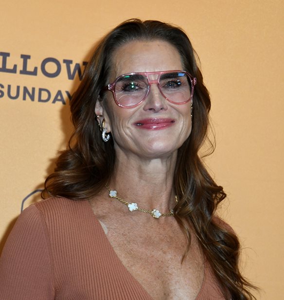 Brooke Shields| &#x3A6;&#x3CC;&#x3C1;&#x3B5;&#x3C3;&#x3B5; &#x3C4;&#x3BF; &#x3B1;&#x3C0;&#x3CC;&#x3BB;&#x3C5;&#x3C4;&#x3B1; &#x3C6;&#x3B8;&#x3B9;&#x3BD;&#x3BF;&#x3C0;&#x3C9;&#x3C1;&#x3B9;&#x3BD;&#x3CC; look