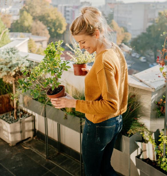 &#x3A0;&#x3CE;&#x3C2; &#x3BD;&#x3B1; &#x3B1;&#x3C0;&#x3BF;&#x3BB;&#x3B1;&#x3CD;&#x3C3;&#x3B5;&#x3B9;&#x3C2; &#x3C4;&#x3B9;&#x3C2; &#x3C0;&#x3C1;&#x3CE;&#x3C4;&#x3B5;&#x3C2; &#x3BA;&#x3B1;&#x3BB;&#x3BF;&#x3BA;&#x3B1;&#x3B9;&#x3C1;&#x3B9;&#x3BD;&#x3AD;&#x3C2; &#x3BC;&#x3AD;&#x3C1;&#x3B5;&#x3C2;