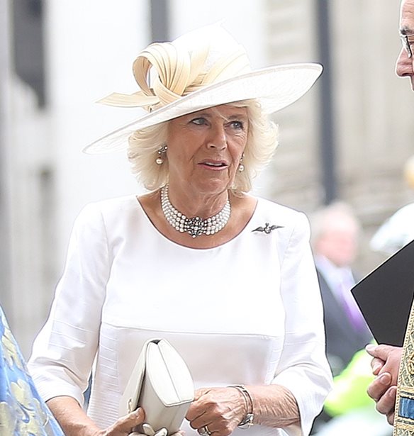 &#x393;&#x3B9;&#x3B1;&#x3C4;&#x3AF; &#x3B7; Camilla &#x3B4;&#x3B5;&#x3BD; &#x3B1;&#x3BD;&#x3B1;&#x3C6;&#x3AD;&#x3C1;&#x3B5;&#x3C4;&#x3B1;&#x3B9; &#x3C0;&#x3BF;&#x3C4;&#x3AD; &#x3C9;&#x3C2; &#x3C0;&#x3C1;&#x3B9;&#x3B3;&#x3BA;&#x3AF;&#x3C0;&#x3B9;&#x3C3;&#x3C3;&#x3B1; &#x3C4;&#x3B7;&#x3C2; &#x39F;&#x3C5;&#x3B1;&#x3BB;&#x3AF;&#x3B1;&#x3C2;;