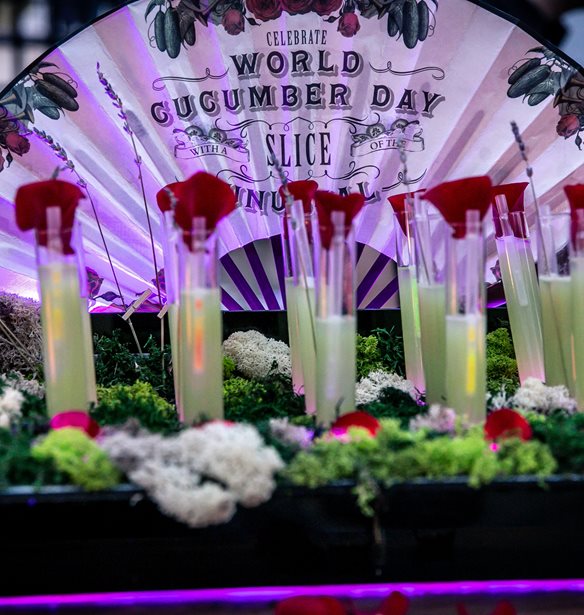 &#x39C;&#x3AF;&#x3B1; &#x3B4;&#x3B9;&#x3B1;&#x3C6;&#x3BF;&#x3C1;&#x3B5;&#x3C4;&#x3B9;&#x3BA;&#x3AE; &#x3BD;&#x3CD;&#x3C7;&#x3C4;&#x3B1; &#x3C3;&#x3C4;&#x3BF; &#x3BC;&#x3BF;&#x3C5;&#x3C3;&#x3B5;&#x3AF;&#x3BF; &#x3BC;&#x3B1;&#x3B6;&#x3AF; &#x3BC;&#x3B5; &#x3C4;&#x3BF; Hendrick&#x2019;s Gin