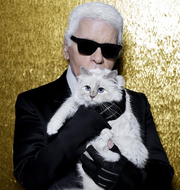 Choupette | &#x397; &#x3B3;&#x3AC;&#x3C4;&#x3B1; &#x3BA;&#x3BB;&#x3B7;&#x3C1;&#x3BF;&#x3BD;&#x3CC;&#x3BC;&#x3BF;&#x3C2; &#x3B5;&#x3C4;&#x3BF;&#x3B9;&#x3BC;&#x3AC;&#x3B6;&#x3B5;&#x3B9; &#x3BC;&#x3AF;&#x3B1; &#x3BD;&#x3AD;&#x3B1; &#x3C3;&#x3C5;&#x3BB;&#x3BB;&#x3BF;&#x3B3;&#x3AE; &#x3C3;&#x3C4;&#x3B7; &#x3BC;&#x3BD;&#x3AE;&#x3BC;&#x3B7; &#x3C4;&#x3BF;&#x3C5; Karl Lagerfeld