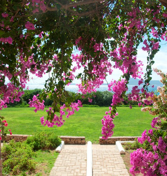 &#x391;&#x3C5;&#x3C4;&#x3AD;&#x3C2; &#x3BF;&#x3B9; &#x3BA;&#x3B1;&#x3BB;&#x3BF;&#x3BA;&#x3B1;&#x3B9;&#x3C1;&#x3B9;&#x3BD;&#x3AD;&#x3C2; &#x3BA;&#x3B1;&#x3C4;&#x3BF;&#x3B9;&#x3BA;&#x3AF;&#x3B5;&#x3C2; &#x3C0;&#x3C1;&#x3BF;&#x3C3;&#x3C6;&#x3AD;&#x3C1;&#x3BF;&#x3C5;&#x3BD; &#x3C4;&#x3B7;&#x3BD; &#x3B1;&#x3C0;&#x3CC;&#x3BB;&#x3C5;&#x3C4;&#x3B7; &#x3C6;&#x3B9;&#x3BB;&#x3BF;&#x3BE;&#x3B5;&#x3BD;&#x3AF;&#x3B1; &#x3C3;&#x3C4;&#x3B7;&#x3BD; &#x39D;&#x3B5;&#x3AC;&#x3C0;&#x3BF;&#x3BB;&#x3B7; &#x39B;&#x3B1;&#x3BA;&#x3C9;&#x3BD;&#x3AF;&#x3B1;&#x3C2;