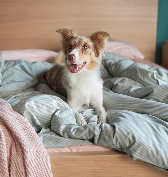 &#x3A3;&#x2019; &#x3AD;&#x3BD;&#x3B1; &#x3C3;&#x3C0;&#x3AF;&#x3C4;&#x3B9; &#x399;&#x39A;&#x395;&#x391; &#x3B6;&#x3B5;&#x3B9;&#x3C2; &#x3C0;&#x3B9;&#x3BF; &#x3C0;&#x3BF;&#x3BB;&#x3BB;&#x3AC; &#x3B1;&#x3C0;&#x2019; &#x3CC;&#x3C3;&#x3B1; &#x3C6;&#x3B1;&#x3BD;&#x3C4;&#x3AC;&#x3B6;&#x3B5;&#x3C3;&#x3B1;&#x3B9;