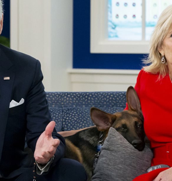 Pet Love | &#x3A4;&#x3B1; &#x3B1;&#x3BE;&#x3B9;&#x3BF;&#x3BB;&#x3AC;&#x3C4;&#x3C1;&#x3B5;&#x3C5;&#x3C4;&#x3B1; &#x3BA;&#x3B1;&#x3C4;&#x3BF;&#x3B9;&#x3BA;&#x3AF;&#x3B4;&#x3B9;&#x3B1; &#x3C4;&#x3C9;&#x3BD; &#x3A0;&#x3C1;&#x3BF;&#x3AD;&#x3B4;&#x3C1;&#x3C9;&#x3BD; &#x3BA;&#x3B1;&#x3B9; &#x3C4;&#x3C9;&#x3BD; &#x3A0;&#x3C1;&#x3C9;&#x3B8;&#x3C5;&#x3C0;&#x3BF;&#x3C5;&#x3C1;&#x3B3;&#x3CE;&#x3BD;