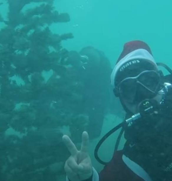 &#x3A3;&#x3C4;&#x3B7;&#x3BD; &#x391;&#x3BB;&#x3CC;&#x3BD;&#x3BD;&#x3B7;&#x3C3;&#x3BF; &#x3C4;&#x3BF; &#x3C7;&#x3C1;&#x3B9;&#x3C3;&#x3C4;&#x3BF;&#x3C5;&#x3B3;&#x3B5;&#x3BD;&#x3BD;&#x3B9;&#x3AC;&#x3C4;&#x3B9;&#x3BA;&#x3BF; &#x3B4;&#x3AD;&#x3BD;&#x3C4;&#x3C1;&#x3BF; &#x3C3;&#x3C4;&#x3BF;&#x3BB;&#x3AF;&#x3B6;&#x3B5;&#x3C4;&#x3B1;&#x3B9; &#x3B1;&#x3C0;&#x3CC; &#x3B4;&#x3CD;&#x3C4;&#x3B5;&#x3C2; &#x3C3;&#x3C4;&#x3BF;&#x3BD; &#x3B2;&#x3C5;&#x3B8;&#x3CC; &#x3C4;&#x3B7;&#x3C2; &#x3B8;&#x3AC;&#x3BB;&#x3B1;&#x3C3;&#x3C3;&#x3B1;&#x3C2;