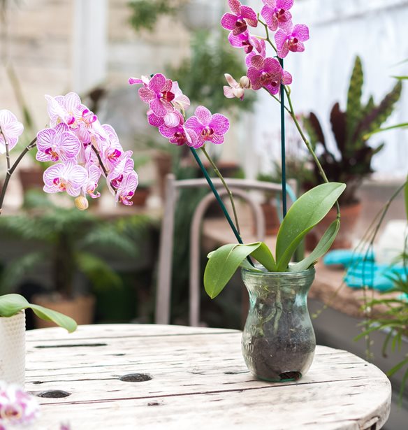 &#x3A4;&#x3B1; 5 &#x3C0;&#x3B9;&#x3BF; &#x3B4;&#x3B7;&#x3BC;&#x3BF;&#x3C6;&#x3B9;&#x3BB;&#x3AE; &#x3C6;&#x3C5;&#x3C4;&#x3AC; &#x3C3;&#x3C4;&#x3BF; Instagram