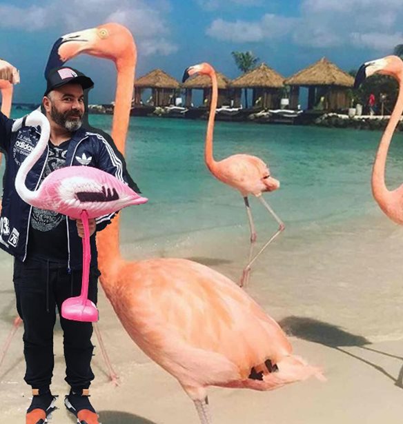 Pink Flamingo: &#x39F; &#x392;&#x3B1;&#x3C3;&#x3AF;&#x3BB;&#x3B7;&#x3C2; &#x39A;&#x3B1;&#x3BB;&#x3BB;&#x3AF;&#x3B4;&#x3B7;&#x3C2; &#x3C6;&#x3AD;&#x3C1;&#x3BD;&#x3B5;&#x3B9; &#x3C4;&#x3BF; street food &#x3C4;&#x3BF;&#x3C5; Hong Kong &#x3C3;&#x3C4;&#x3BF; &#x3BA;&#x3AD;&#x3BD;&#x3C4;&#x3C1;&#x3BF; &#x3C4;&#x3B7;&#x3C2; &#x391;&#x3B8;&#x3AE;&#x3BD;&#x3B1;&#x3C2;