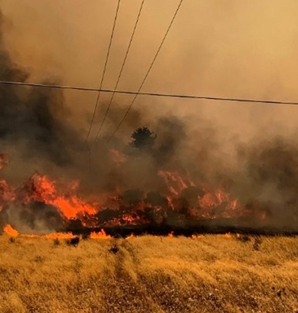 &#x3A6;&#x3C9;&#x3C4;&#x3B9;&#x3AD;&#x3C2; &#x3C3;&#x3C4;&#x3B7; &#x3A1;&#x3CC;&#x3B4;&#x3BF; | &#x388;&#x3BD;&#x3B1; &#x3B6;&#x3B5;&#x3C5;&#x3B3;&#x3AC;&#x3C1;&#x3B9; &#x3C4;&#x3BF;&#x3C5;&#x3C1;&#x3B9;&#x3C3;&#x3C4;&#x3CE;&#x3BD; &#x3B1;&#x3C0;&#x3CC; &#x3C4;&#x3B7; &#x3A3;&#x3BF;&#x3C5;&#x3B7;&#x3B4;&#x3AF;&#x3B1; &#x3C0;&#x3B5;&#x3C1;&#x3B9;&#x3B3;&#x3C1;&#x3AC;&#x3C6;&#x3B5;&#x3B9; &#x3C4;&#x3B7;&#x3BD; &#x3B5;&#x3BC;&#x3C0;&#x3B5;&#x3B9;&#x3C1;&#x3AF;&#x3B1; &#x3C4;&#x3BF;&#x3C5;