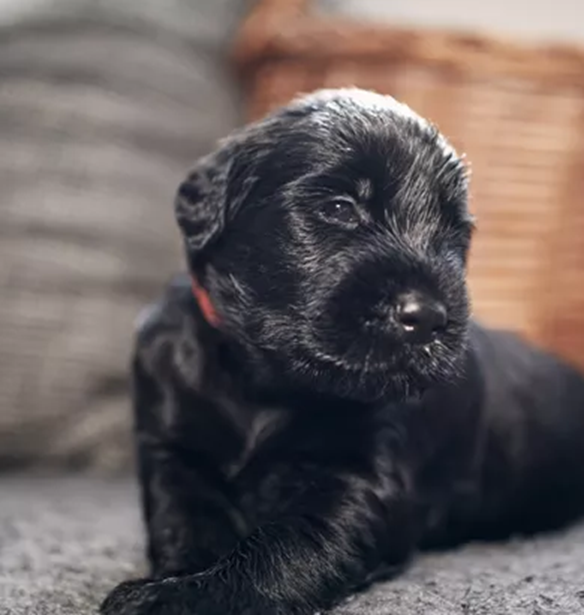 &#x39C;&#x3B9;&#x3B1; &#x3B1;&#x3B3;&#x3BA;&#x3B1;&#x3BB;&#x3B9;&#x3AC; &#x3B3;&#x3B9;&#x3B1; &#x3C0;&#x3AC;&#x3BD;&#x3C4;&#x3B1; | &#x3A0;&#x3CE;&#x3C2; &#x3AD;&#x3BD;&#x3B1; &#x3B1;&#x3B4;&#x3B5;&#x3C3;&#x3C0;&#x3BF;&#x3C4;&#x3AC;&#x3BA;&#x3B9; &#x3BC;&#x3BF;&#x3C5; &#x3AD;&#x3C3;&#x3C9;&#x3C3;&#x3B5;, &#x3BA;&#x3C5;&#x3C1;&#x3B9;&#x3BF;&#x3BB;&#x3B5;&#x3BA;&#x3C4;&#x3B9;&#x3BA;&#x3AC;, &#x3C4;&#x3B7; &#x3B6;&#x3C9;&#x3AE;