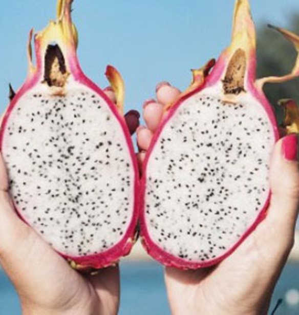 Dragon Fruit: &#x397; &#x3BD;&#x3AD;&#x3B1; &#x3AC;&#x3C6;&#x3B9;&#x3BE;&#x3B7; &#x3C3;&#x3C4;&#x3B1; superfoods &#x3B2;&#x3B3;&#x3B1;&#x3AF;&#x3BD;&#x3B5;&#x3B9; &#x3BA;&#x3B1;&#x3B9; &#x3C3;&#x3B5; &#x3BC;&#x3BF;&#x3C1;&#x3C6;&#x3AE; &#x3C3;&#x3BA;&#x3CC;&#x3BD;&#x3B7;&#x3C2;!