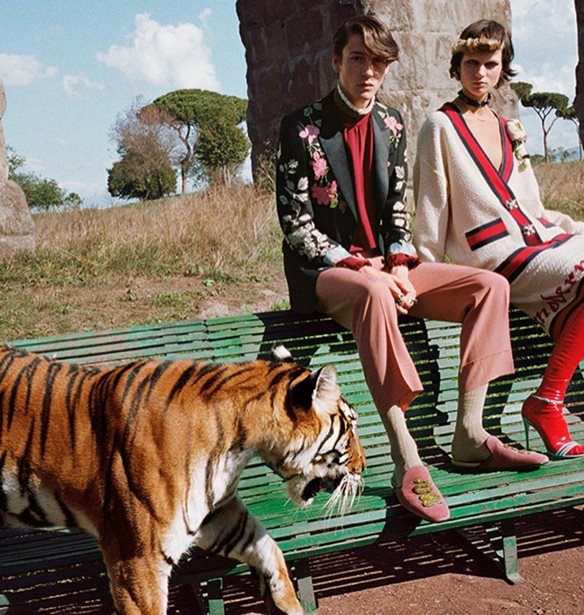 Gucci: &#x396;&#x3AE;&#x3C4;&#x3B7;&#x3C3;&#x3B5; &#x3AC;&#x3B4;&#x3B5;&#x3B9;&#x3B1; &#x3B3;&#x3B9;&#x3B1; &#x3BD;&#x3B1; &#x3C0;&#x3B1;&#x3C1;&#x3BF;&#x3C5;&#x3C3;&#x3B9;&#x3AC;&#x3C3;&#x3B5;&#x3B9; &#x3C4;&#x3BF; &#x3B5;&#x3C0;&#x3CC;&#x3BC;&#x3B5;&#x3BD;&#x3BF; show &#x3C4;&#x3BF;&#x3C5; &#x3C3;&#x3C4;&#x3BF;&#x3BD; &#x3A0;&#x3B1;&#x3C1;&#x3B8;&#x3B5;&#x3BD;&#x3CE;&#x3BD;&#x3B1;!