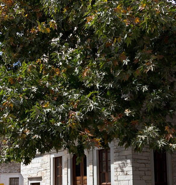 &#x3A3;&#x3C4;&#x3B7;&#x3BD; &#x391;&#x3C0;&#x3B5;&#x3AF;&#x3C1;&#x3B1;&#x3BD;&#x3B8;&#x3BF; &#x3B3;&#x3B9;&#x3B1; &#x3C4;&#x3B7;&#x3BD; &#x3C4;&#x3B1;&#x3B2;&#x3AD;&#x3C1;&#x3BD;&#x3B1; &#x3C4;&#x3BF;&#x3C5; &#x391;&#x3BC;&#x3BF;&#x3C1;&#x3B3;&#x3B9;&#x3BD;&#x3BF;&#x3CD;