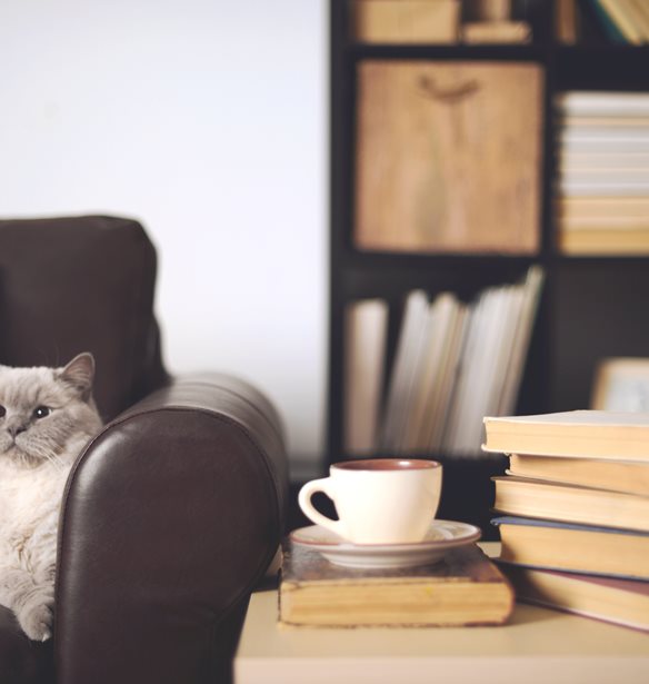 5 &#x3B2;&#x3B9;&#x3B2;&#x3BB;&#x3AF;&#x3B1; &#x3B3;&#x3B9;&#x3B1; &#x3BD;&#x3B1; &#x3B4;&#x3B9;&#x3B1;&#x3B2;&#x3AC;&#x3C3;&#x3B5;&#x3B9;&#x3C2; &#x3C4;&#x3BF;&#x3BD; &#x39F;&#x3BA;&#x3C4;&#x3CE;&#x3B2;&#x3C1;&#x3B9;&#x3BF;