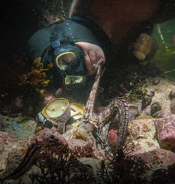 &#x3A4;&#x3BF; &#x3BD;&#x3C4;&#x3BF;&#x3BA;&#x3B9;&#x3BC;&#x3B1;&#x3BD;&#x3C4;&#x3AD;&#x3C1; &#x3C4;&#x3BF;&#x3C5; Netflix &quot;My Octopus Teacher&quot; &#x3B1;&#x3C0;&#x3BF;&#x3BA;&#x3B1;&#x3BB;&#x3CD;&#x3C0;&#x3C4;&#x3B5;&#x3B9; &#x3BC;&#x3B9;&#x3B1; &#x3C3;&#x3C5;&#x3B3;&#x3BA;&#x3B9;&#x3BD;&#x3B7;&#x3C4;&#x3B9;&#x3BA;&#x3AE;, &#x3B1;&#x3C0;&#x3C1;&#x3CC;&#x3C3;&#x3BC;&#x3B5;&#x3BD;&#x3B7; &#x3C6;&#x3B9;&#x3BB;&#x3AF;&#x3B1;