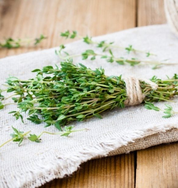 Το ήξερες ότι το θυμάρι μπορεί να έχει "παρενέργειες"; Μάθε πότε ΔΕΝ σου κάνει καλό!