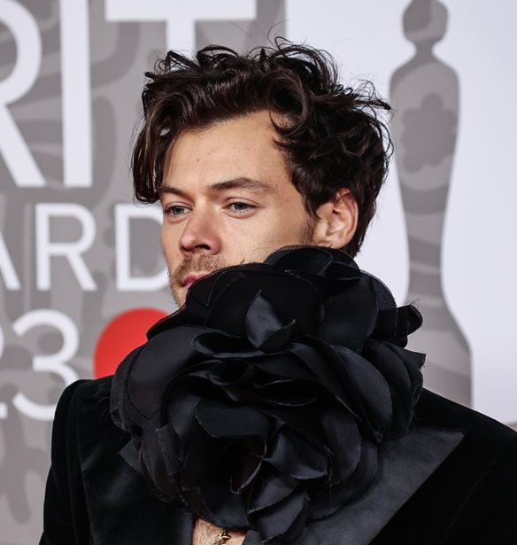 Harry Styles | &#x3A4;&#x3BF; &#x3B9;&#x3B4;&#x3B9;&#x3B1;&#x3AF;&#x3C4;&#x3B5;&#x3C1;&#x3BF; &#x3C8;&#x3B5;&#x3C5;&#x3B4;&#x3CE;&#x3BD;&#x3C5;&#x3BC;&#x3BF; &#x3C0;&#x3BF;&#x3C5; &#x3C7;&#x3C1;&#x3B7;&#x3C3;&#x3B9;&#x3BC;&#x3BF;&#x3C0;&#x3BF;&#x3B9;&#x3B5;&#x3AF; &#x3CC;&#x3C4;&#x3B1;&#x3BD; &#x3B8;&#x3AD;&#x3BB;&#x3B5;&#x3B9; &#x3BD;&#x3B1; &#x3BC;&#x3B5;&#x3AF;&#x3BD;&#x3B5;&#x3B9; &#x3BA;&#x3C1;&#x3C5;&#x3C6;&#x3AC; &#x3C3;&#x3B5; &#x3BE;&#x3B5;&#x3BD;&#x3BF;&#x3B4;&#x3BF;&#x3C7;&#x3B5;&#x3AF;&#x3BF;