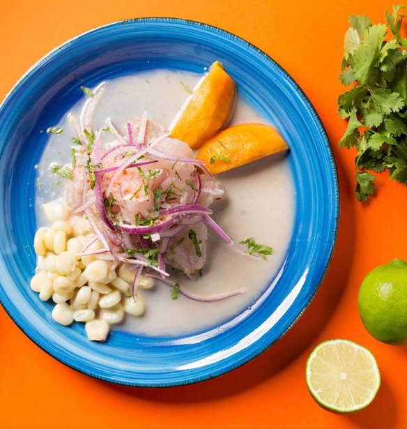 &#x397; &#x3C3;&#x3C5;&#x3BD;&#x3C4;&#x3B1;&#x3B3;&#x3AE; &#x3B3;&#x3B9;&#x3B1; &#x3C4;&#x3BF; &#x3C4;&#x3AD;&#x3BB;&#x3B5;&#x3B9;&#x3BF; &#x3C3;&#x3C0;&#x3B9;&#x3C4;&#x3B9;&#x3BA;&#x3CC; &#x3C3;&#x3B5;&#x3B2;&#x3AF;&#x3C4;&#x3C3;&#x3B5;