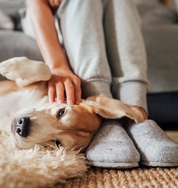 Τι πρέπει να κάνεις λίγο πριν πέσεις για ύπνο