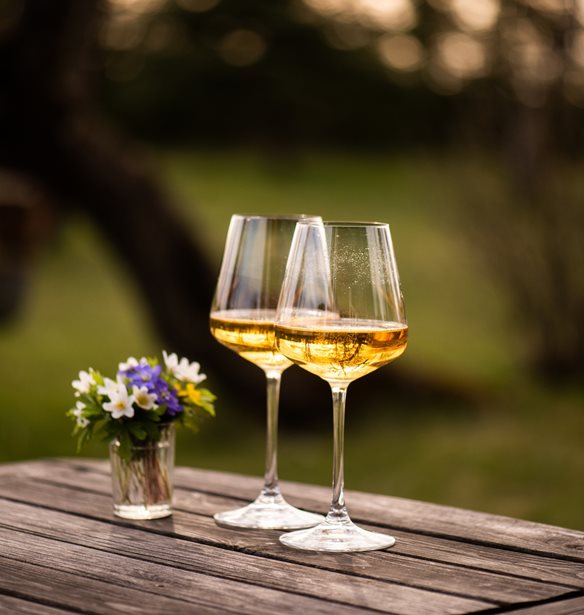 Wine Stories | &#x38C;&#x3C3;&#x3B1; &#x3BB;&#x3AD;&#x3BC;&#x3B5; &#x3BC;&#x3B5; &#x3AD;&#x3BD;&#x3B1; &#x3C0;&#x3BF;&#x3BB;&#x3CD;&#x3C0;&#x3BB;&#x3BF;&#x3BA;&#x3BF;, &#x3B6;&#x3C9;&#x3B7;&#x3C1;&#x3CC;, &#x3C6;&#x3B9;&#x3BD;&#x3B5;&#x3C4;&#x3C3;&#x3AC;&#x3C4;&#x3BF; &#x3C0;&#x3BF;&#x3C4;&#x3AE;&#x3C1;&#x3B9; &#x3BA;&#x3C1;&#x3B1;&#x3C3;&#x3AF;