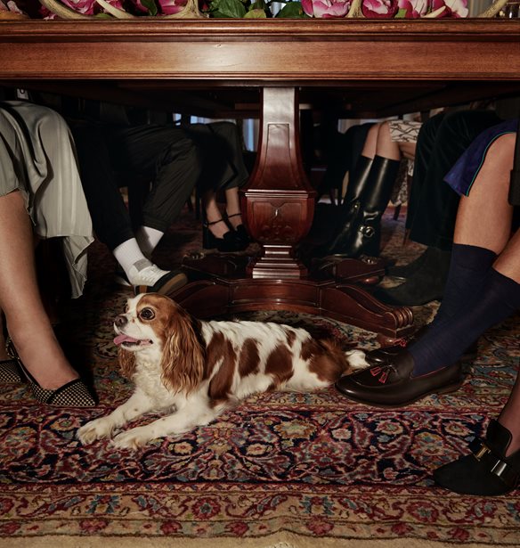 &#x396;&#x3AE;&#x3C3;&#x3B5; &#x3C4;&#x3B7;&#x3BD; &#x3B1;&#x3C0;&#x3CC;&#x3BB;&#x3C5;&#x3C4;&#x3B7; &#x3B5;&#x3BC;&#x3C0;&#x3B5;&#x3B9;&#x3C1;&#x3AF;&#x3B1; shopping &#x3C3;&#x3C4;&#x3BF; &#x3B1;&#x3BD;&#x3B1;&#x3BD;&#x3B5;&#x3C9;&#x3BC;&#x3AD;&#x3BD;&#x3BF; &#x3B7;&#x3BB;&#x3B5;&#x3BA;&#x3C4;&#x3C1;&#x3BF;&#x3BD;&#x3B9;&#x3BA;&#x3CC; &#x3BA;&#x3B1;&#x3C4;&#x3AC;&#x3C3;&#x3C4;&#x3B7;&#x3BC;&#x3B1; KALOGIROU