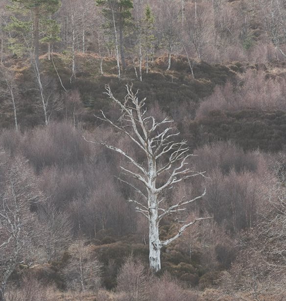 &#x38C;&#x3BB;&#x3B1; &#x3CC;&#x3C3;&#x3B1; &#x3B8;&#x3B1; &#x3BA;&#x3AC;&#x3BD;&#x3BF;&#x3C5;&#x3BC;&#x3B5; &#x3C4;&#x3BF; &#x3A3;&#x3B1;&#x3B2;&#x3B2;&#x3B1;&#x3C4;&#x3BF;&#x3BA;&#x3CD;&#x3C1;&#x3B9;&#x3B1;&#x3BA;&#x3BF; &#x3C3;&#x3C4;&#x3B7;&#x3BD; &#x3C0;&#x3CC;&#x3BB;&#x3B7;