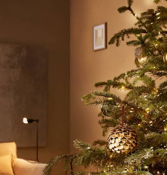 10 &#x3C4;&#x3AD;&#x3BB;&#x3B5;&#x3B9;&#x3B1; &#x3C3;&#x3C4;&#x3BF;&#x3BB;&#x3AF;&#x3B4;&#x3B9;&#x3B1; &#x3B3;&#x3B9;&#x3B1; &#x3C4;&#x3BF; &#x3C7;&#x3C1;&#x3B9;&#x3C3;&#x3C4;&#x3BF;&#x3C5;&#x3B3;&#x3B5;&#x3BD;&#x3BD;&#x3B9;&#x3AC;&#x3C4;&#x3B9;&#x3BA;&#x3BF; &#x3B4;&#x3AD;&#x3BD;&#x3C4;&#x3C1;&#x3BF; &#x3C3;&#x3BF;&#x3C5;