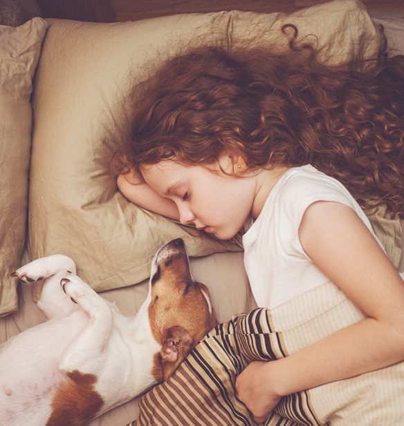 &#x39F; &#x3BC;&#x3B5;&#x3C3;&#x3B7;&#x3BC;&#x3B5;&#x3C1;&#x3B9;&#x3B1;&#x3BD;&#x3CC;&#x3C2; &#x3C5;&#x3C0;&#x3BD;&#x3AC;&#x3BA;&#x3BF;&#x3C2; &#x3B2;&#x3BF;&#x3B7;&#x3B8;&#x3AC;&#x3B5;&#x3B9; &#x3C4;&#x3B1; &#x3C0;&#x3B1;&#x3B9;&#x3B4;&#x3B9;&#x3AC; &#x3C8;&#x3C5;&#x3C7;&#x3BF;&#x3BB;&#x3BF;&#x3B3;&#x3B9;&#x3BA;&#x3AC; &#x3BA;&#x3B1;&#x3B9; &#x3B2;&#x3B1;&#x3B8;&#x3BC;&#x3BF;&#x3BB;&#x3BF;&#x3B3;&#x3B9;&#x3BA;&#x3AC;