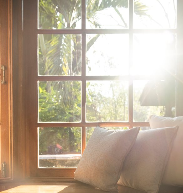 &#x395;&#x3C0;&#x3B9;&#x3C3;&#x3C4;&#x3C1;&#x3BF;&#x3C6;&#x3AE; &#x3C3;&#x3C4;&#x3B7; &#x3C6;&#x3CD;&#x3C3;&#x3B7;: 9 &#x3B1;&#x3B3;&#x3BF;&#x3C1;&#x3AD;&#x3C2; &#x3B3;&#x3B9;&#x3B1; &#x3BD;&#x3B1; &#x3C5;&#x3B9;&#x3BF;&#x3B8;&#x3B5;&#x3C4;&#x3AE;&#x3C3;&#x3B5;&#x3B9;&#x3C2; &#x3C4;&#x3BF; nature vibes