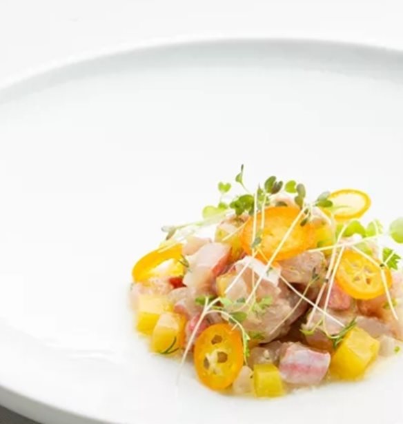 &#x39F;&#x3B9; &#x3BC;&#x3B5;&#x3B3;&#x3AC;&#x3BB;&#x3BF;&#x3B9; &#x3BD;&#x3B9;&#x3BA;&#x3B7;&#x3C4;&#x3AD;&#x3C2; &#x3C4;&#x3C9;&#x3BD; &#x392;&#x3C1;&#x3B1;&#x3B2;&#x3B5;&#x3AF;&#x3C9;&#x3BD; &#x395;&#x3BB;&#x3BB;&#x3B7;&#x3BD;&#x3B9;&#x3BA;&#x3AE;&#x3C2; &#x39A;&#x3BF;&#x3C5;&#x3B6;&#x3AF;&#x3BD;&#x3B1;&#x3C2; 2023 &#x3B1;&#x3C0;&#x3CC; &#x3C4;&#x3BF; &#x391;&#x3B8;&#x3B7;&#x3BD;&#x3CC;&#x3C1;&#x3B1;&#x3BC;&#x3B1;