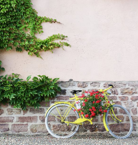 10&#x2B;1 Instagram &#x3BB;&#x3BF;&#x3B3;&#x3B1;&#x3C1;&#x3B9;&#x3B1;&#x3C3;&#x3BC;&#x3BF;&#x3AF; &#x3C0;&#x3BF;&#x3C5; &#x3B1;&#x3B3;&#x3B1;&#x3C0;&#x3BF;&#x3CD;&#x3BD; &#x3C4;&#x3B1; &#x3C6;&#x3C5;&#x3C4;&#x3AC;