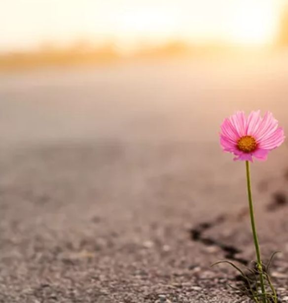 Ψυχική ανθεκτικότητα | Τι είναι και γιατί όσοι την κατακτούν ζουν καλύτερα