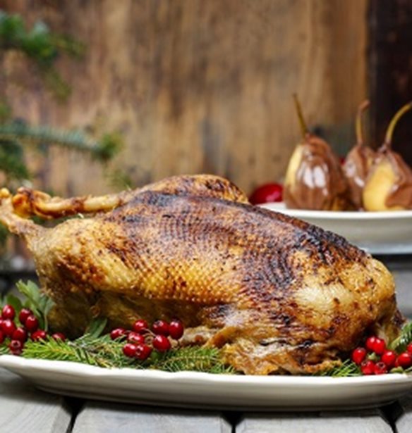 3 &#x3C3;&#x3C5;&#x3BC;&#x3B2;&#x3BF;&#x3C5;&#x3BB;&#x3AD;&#x3C2; &#x3B3;&#x3B9;&#x3B1; &#x3C4;&#x3B7; &#x3B3;&#x3B1;&#x3BB;&#x3BF;&#x3C0;&#x3BF;&#x3CD;&#x3BB;&#x3B1; &#x3C4;&#x3B7;&#x3C2; &#x3A0;&#x3C1;&#x3C9;&#x3C4;&#x3BF;&#x3C7;&#x3C1;&#x3BF;&#x3BD;&#x3B9;&#x3AC;&#x3C2; (&#x3BA;&#x3B1;&#x3B9; &#x3B7; &#x3C4;&#x3AD;&#x3BB;&#x3B5;&#x3B9;&#x3B1; &#x3C3;&#x3C5;&#x3BD;&#x3C4;&#x3B1;&#x3B3;&#x3AE; &#x3B3;&#x3B9;&#x3B1; &#x3B3;&#x3B1;&#x3BB;&#x3BF;&#x3C0;&#x3BF;&#x3CD;&#x3BB;&#x3B1; &#x3BC;&#x3B5; &#x3C0;&#x3BF;&#x3C1;&#x3C4;&#x3BF;&#x3BA;&#x3AC;&#x3BB;&#x3B9; &#x3B1;&#x3C0;&#x3CC; &#x3C4;&#x3BF;&#x3BD; chef)!