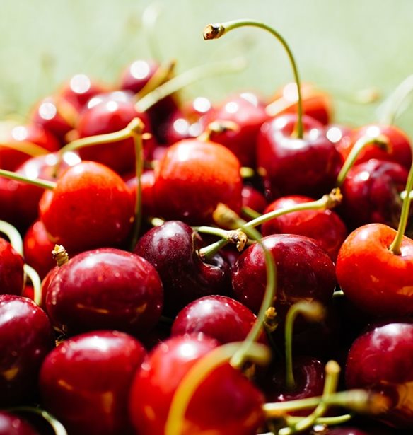 &#x399;&#x3BF;&#x3CD;&#x3BB;&#x3B9;&#x3BF;&#x3C2; | &#x3A6;&#x3C1;&#x3BF;&#x3CD;&#x3C4;&#x3B1; &#x3BA;&#x3B1;&#x3B9; &#x3BB;&#x3B1;&#x3C7;&#x3B1;&#x3BD;&#x3B9;&#x3BA;&#x3AC; &#x3B5;&#x3C0;&#x3BF;&#x3C7;&#x3AE;&#x3C2;