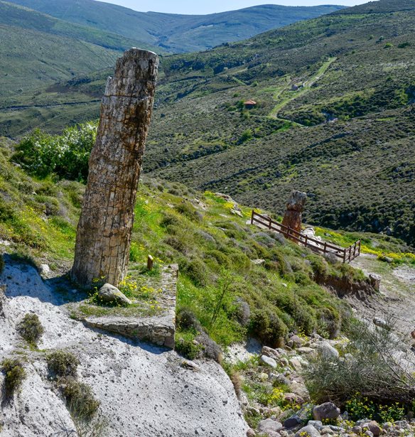 &#x397; &#x3AC;&#x3BB;&#x3BB;&#x3B7; &#x39B;&#x3AD;&#x3C3;&#x3B2;&#x3BF;&#x3C2; | &#x39F;&#x3B4;&#x3BF;&#x3B9;&#x3C0;&#x3BF;&#x3C1;&#x3B9;&#x3BA;&#x3CC; &#x3C3;&#x3B5; &#x3C3;&#x3B7;&#x3BC;&#x3B5;&#x3AF;&#x3B1; &#x3C4;&#x3BF;&#x3C5; &#x3BD;&#x3B7;&#x3C3;&#x3B9;&#x3BF;&#x3CD; &#x3C0;&#x3BF;&#x3C5; &#x3B4;&#x3B5;&#x3BD; &#x3AD;&#x3C7;&#x3B5;&#x3B9;&#x3C2; (&#x3BA;&#x3B1;&#x3B9; &#x3C0;&#x3C1;&#x3AD;&#x3C0;&#x3B5;&#x3B9; &#x3BD;&#x3B1;) &#x3B5;&#x3C0;&#x3B9;&#x3C3;&#x3BA;&#x3B5;&#x3C6;&#x3C4;&#x3B5;&#x3AF;&#x3C2;
