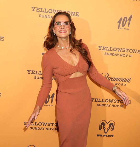 Brooke Shields| &#x3A6;&#x3CC;&#x3C1;&#x3B5;&#x3C3;&#x3B5; &#x3C4;&#x3BF; &#x3B1;&#x3C0;&#x3CC;&#x3BB;&#x3C5;&#x3C4;&#x3B1; &#x3C6;&#x3B8;&#x3B9;&#x3BD;&#x3BF;&#x3C0;&#x3C9;&#x3C1;&#x3B9;&#x3BD;&#x3CC; look