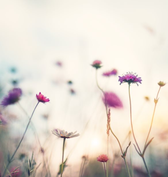 &#x397;&#x3BC;&#x3AD;&#x3C1;&#x3B1; &#x3C4;&#x3B7;&#x3C2; &#x393;&#x3B7;&#x3C2; 2020: 50 &#x3C7;&#x3C1;&#x3CC;&#x3BD;&#x3B9;&#x3B1; &#x3C3;&#x3C5;&#x3BC;&#x3C0;&#x3BB;&#x3B7;&#x3C1;&#x3CE;&#x3BD;&#x3BF;&#x3BD;&#x3C4;&#x3B1;&#x3B9; &#x3C6;&#x3AD;&#x3C4;&#x3BF;&#x3C2; &#x3B1;&#x3C0;&#x3CC; &#x3C4;&#x3B7;&#x3BD; &#x3B8;&#x3AD;&#x3C3;&#x3C0;&#x3B9;&#x3C3;&#x3AE; &#x3C4;&#x3B7;&#x3C2;