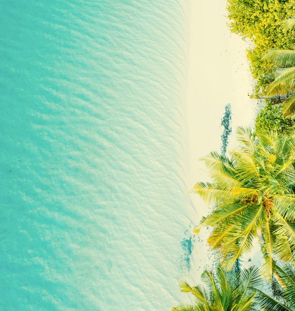 5 experts &#x3B5;&#x3BE;&#x3B7;&#x3B3;&#x3BF;&#x3CD;&#x3BD; &#x3C4;&#x3B9; &#x3B8;&#x3B1; &#x3B1;&#x3BB;&#x3BB;&#x3AC;&#x3BE;&#x3B5;&#x3B9; &#x3C3;&#x3C4;&#x3B1; &#x3C4;&#x3B1;&#x3BE;&#x3AF;&#x3B4;&#x3B9;&#x3B1; &#x3BC;&#x3B1;&#x3C2;