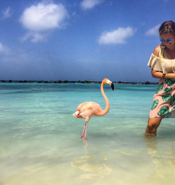 &#x3A3;&#x3B5; &#x3B1;&#x3C5;&#x3C4;&#x3AE; &#x3C4;&#x3B7;&#x3BD; &#x3C0;&#x3B1;&#x3C1;&#x3B1;&#x3BB;&#x3AF;&#x3B1; &#x3C3;&#x3C4;&#x3B7;&#x3BD; &#x39A;&#x3B1;&#x3C1;&#x3B1;&#x3CA;&#x3B2;&#x3B9;&#x3BA;&#x3AE; &#x3BC;&#x3C0;&#x3BF;&#x3C1;&#x3B5;&#x3AF;&#x3C2; &#x3BD;&#x3B1; &#x3BA;&#x3BF;&#x3BB;&#x3C5;&#x3BC;&#x3C0;&#x3AE;&#x3C3;&#x3B5;&#x3B9;&#x3C2; &#x3BC;&#x3B5; flamingos