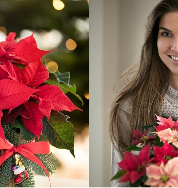 &#x391;&#x3BB;&#x3B5;&#x3BE;&#x3B1;&#x3BD;&#x3B4;&#x3C1;&#x3B9;&#x3BD;&#x3CC; | 3 &#x3B5;&#x3CD;&#x3BA;&#x3BF;&#x3BB;&#x3B5;&#x3C2; &#x3B9;&#x3B4;&#x3AD;&#x3B5;&#x3C2; &#x3B3;&#x3B9;&#x3B1; &#x3B4;&#x3B9;&#x3B1;&#x3BA;&#x3CC;&#x3C3;&#x3BC;&#x3B7;&#x3C3;&#x3B7; &#x3BC;&#x3B5; &#x3C0;&#x3C1;&#x3C9;&#x3C4;&#x3B1;&#x3B3;&#x3C9;&#x3BD;&#x3B9;&#x3C3;&#x3C4;&#x3AE; &#x3C4;&#x3BF; &#x3BB;&#x3BF;&#x3C5;&#x3BB;&#x3BF;&#x3CD;&#x3B4;&#x3B9; &#x3C4;&#x3C9;&#x3BD; &#x3A7;&#x3C1;&#x3B9;&#x3C3;&#x3C4;&#x3BF;&#x3C5;&#x3B3;&#x3AD;&#x3BD;&#x3BD;&#x3C9;&#x3BD;!