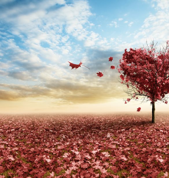 &#x397; &#x3B5;&#x3C0;&#x3B9;&#x3C3;&#x3C4;&#x3C1;&#x3BF;&#x3C6;&#x3AE; &#x3C4;&#x3BF;&#x3C5; &#x3C1;&#x3BF;&#x3BC;&#x3B1;&#x3BD;&#x3C4;&#x3B9;&#x3C3;&#x3BC;&#x3BF;&#x3CD;