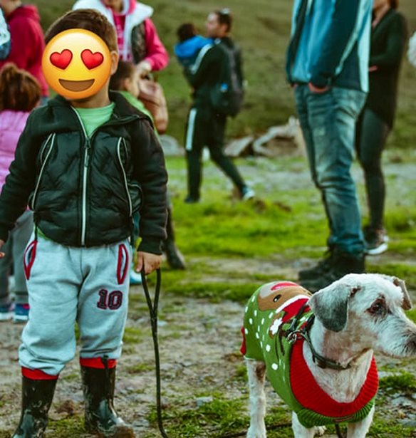 &#x39D;&#x3B7;&#x3C0;&#x3B9;&#x3B1;&#x3B3;&#x3C9;&#x3B3;&#x3B5;&#x3AF;&#x3BF; &#x3C3;&#x3C4;&#x3B7; &#x39B;&#x3AE;&#x3BC;&#x3BD;&#x3BF; &#x3B5;&#x3C0;&#x3B9;&#x3C3;&#x3BA;&#x3AD;&#x3C6;&#x3C4;&#x3B7;&#x3BA;&#x3B5; &#x3C4;&#x3BF; &#x3BA;&#x3B1;&#x3C4;&#x3B1;&#x3C6;&#x3CD;&#x3B3;&#x3B9;&#x3BF; &#x3B1;&#x3B4;&#x3AD;&#x3C3;&#x3C0;&#x3BF;&#x3C4;&#x3C9;&#x3BD; &#x3C4;&#x3BF;&#x3C5; &#x3BD;&#x3B7;&#x3C3;&#x3B9;&#x3BF;&#x3CD;